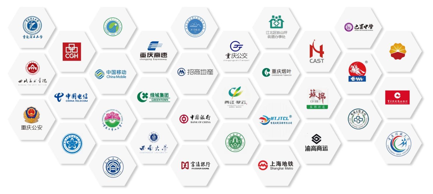 中安国保代表客户标识
